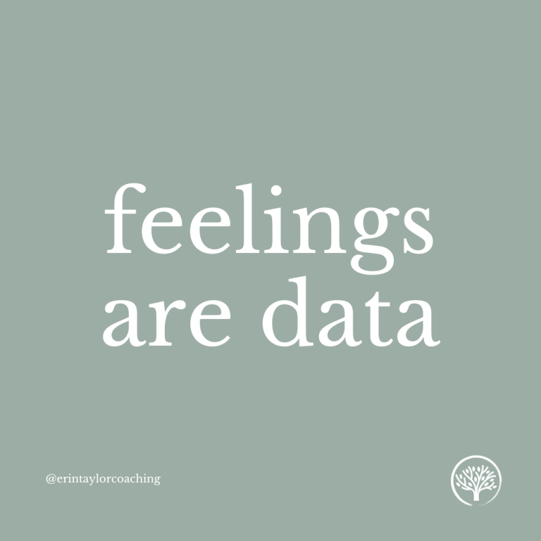 Feelings are Data